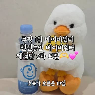 천년동안 베이비워터 공구